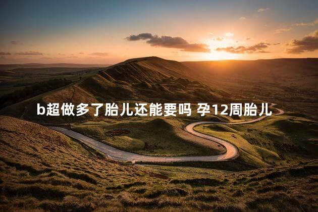 b超做多了胎儿还能要吗 孕12周胎儿小鸡彩超图